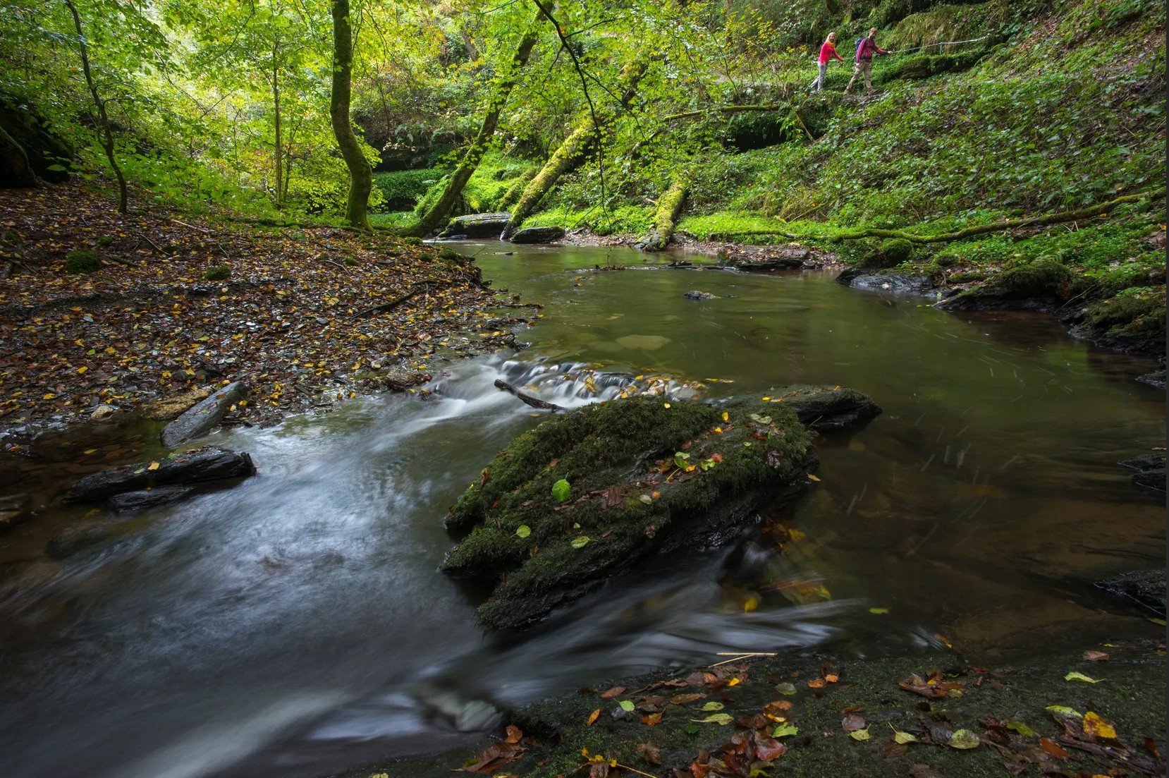 Ehrbachklamm
